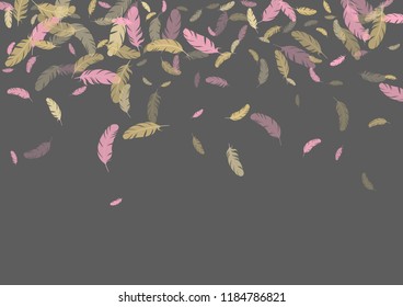 Feather ethnic background vector print.  Brazilian background with plumelet. Flying feather elements cute vector background design for card, banner.