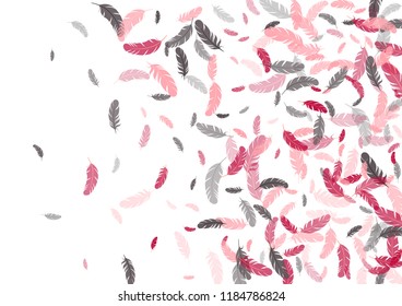 Feather ethnic background vector print.  Brazilian background with plumelet. Flying feather elements cute vector background design for card, banner.