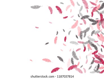 Feather ethnic background vector print.  Minimal background with plumelet. Flying feather elements cute vector background design for card, banner.