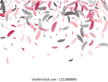 Feather ethnic background vector print.  Minimalist background with plumelet. Flying feather elements cute vector background design for card, banner.