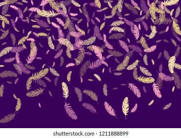 Feather ethnic background vector print.  Brazilian background with plumelet. Flying feather elements cute vector design for card, banner.