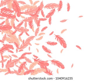 Feather ethnic pattern vector print. Cool minimalist background with plumelet. Editable backdrop with flying feather elements. Cute vector design, banner background in pink and white.