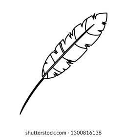 feather exotic isolated icon