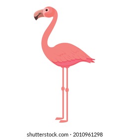 Feather flamingo icon cartoon vector. Summer flamingo. Cute pink bird