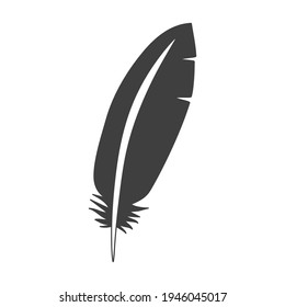 Feather flat icon. Pictogram for web. Line stroke. Isolated on white background. Vector eps10