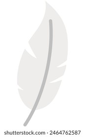 Feather flat vector icon illustration isolated on white background.