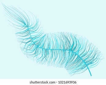 Feather Floating. Beautiful Hand Drawn Beard Feather. Colorful Feather Isolated. Feather for Wallpaper, Illustration, Carnival, Masquerade, Invitation, Textile. Decoration Element for Your Design.