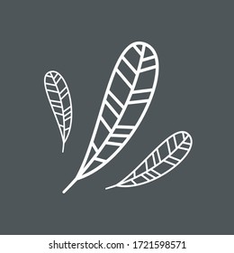 Feather fluff drawn leaflet quality vector illustration cut