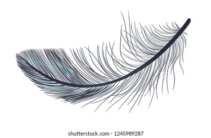 Feather, fluff, fuzz is a black vector, realistic 3d. Gothic.