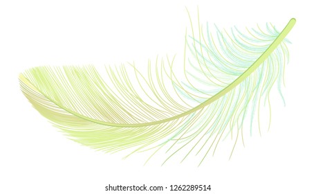 Feather, fluff, fuzz vector, realistic 3d. Colored, yellow, green. Pooh, lightness, airiness.