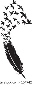 Feather with flying birds vector illustration