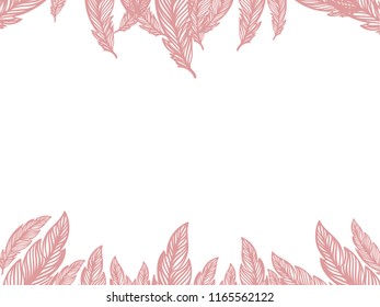 Feather frame for early bird promotion matirials