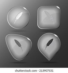 Feather. Glass buttons. Vector illustration.
