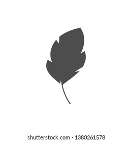 Feather graphic design template vector isolated illustration