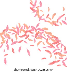 Feather graphic pattern vector print. Elegant minimalist background with plumelet. Editable backdrop with flying feather elements. Cute vector illustration design.