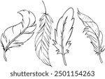 Feather hand drawn. Different forms of feathers. Feather silhouettes. Set outline Feathers