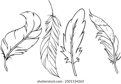 Feather hand drawn. Different forms of feathers. Feather silhouettes. Set outline Feathers