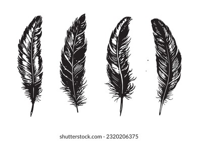 Feather Hand drawn,  line drawing black on white background 