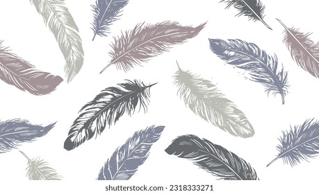 Feather Hand drawn on white background	