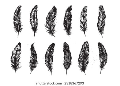Feather Hand drawn on white background
