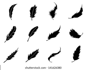 feather icon