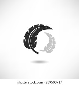 Feather icon