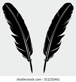 Feather Icon