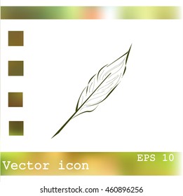 Feather icon.