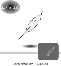 Feather icon.