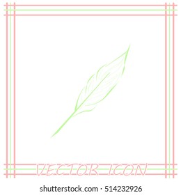 Feather icon.