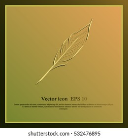 Feather icon.