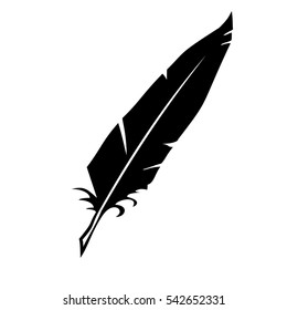 Feather icon
