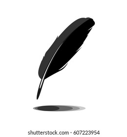Feather icon