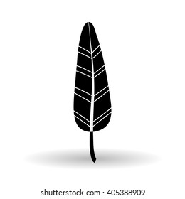 feather icon design 