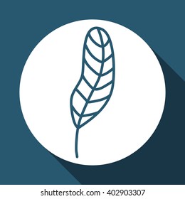 feather icon design , vector illustration
