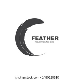 feather icon illustration vector template design