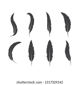 feather icon illustration vector template design