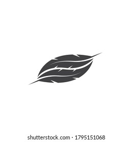 diseño de plantillas vectoriales de ilustraciones de iconos de plumas