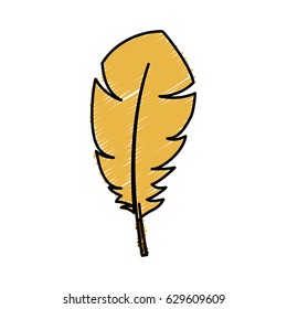 feather icon image