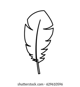 feather icon image