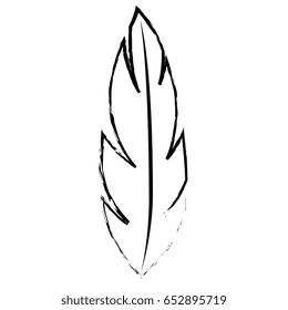 feather icon image