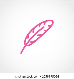 Feather Icon Isolated on White Background