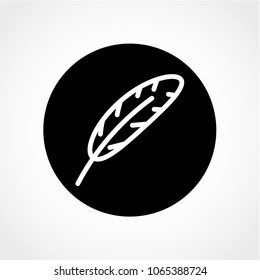 Feather Icon Isolated on White Background
