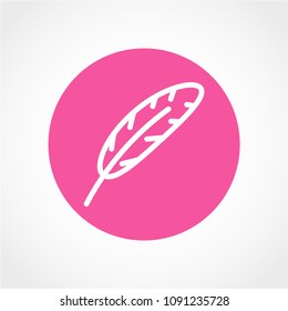 Feather Icon Isolated on White Background