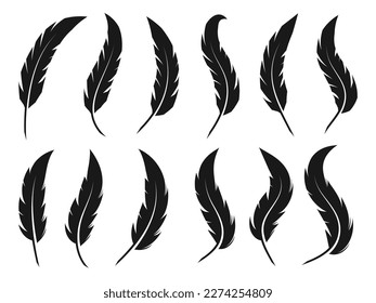 Feather icon isolated on White Background.