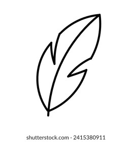 feather icon isolated on white background
