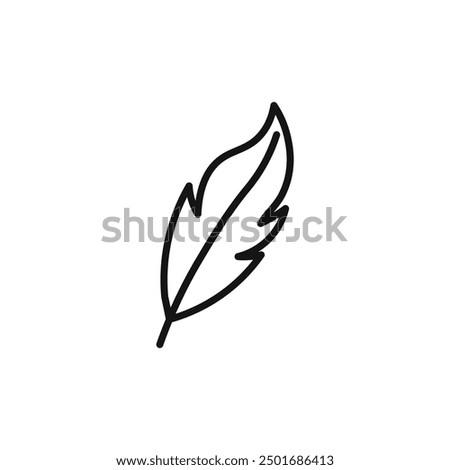 Feather icon isolated on white background