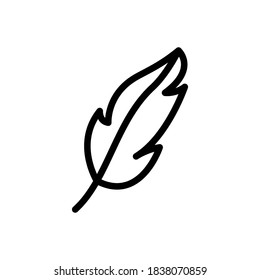 feather icon line art design editable stroke
