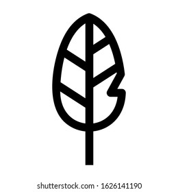 feather icon or logo isolated sign symbol vector illustration - high quality black style vector icons
