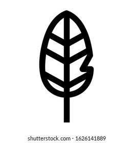 feather icon or logo isolated sign symbol vector illustration - high quality black style vector icons
